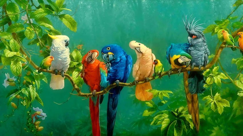 desktop wallpaper parrot colorful birds on branch red yellow blue white macaw parrot colorful bird art